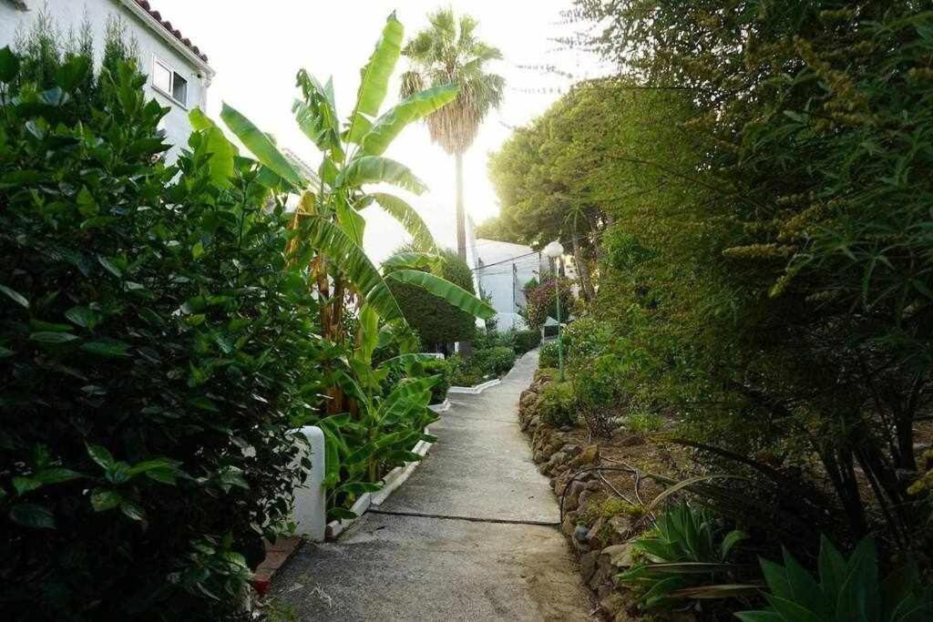 Vonkajšia záhrada v ubytovaní Playa y Naturaleza Estepona