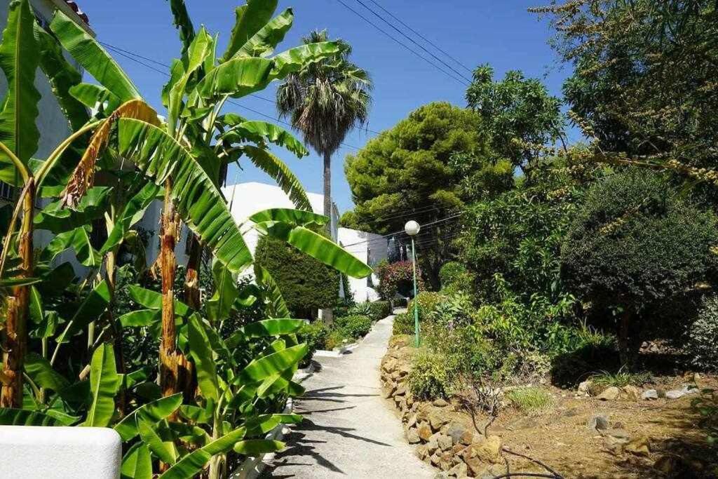 Vonkajšia záhrada v ubytovaní Playa y Naturaleza Estepona