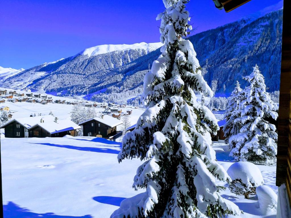 a snow covered christmas tree in front of a mountain at Studio mit traumhafter Aussicht in Ritzingen