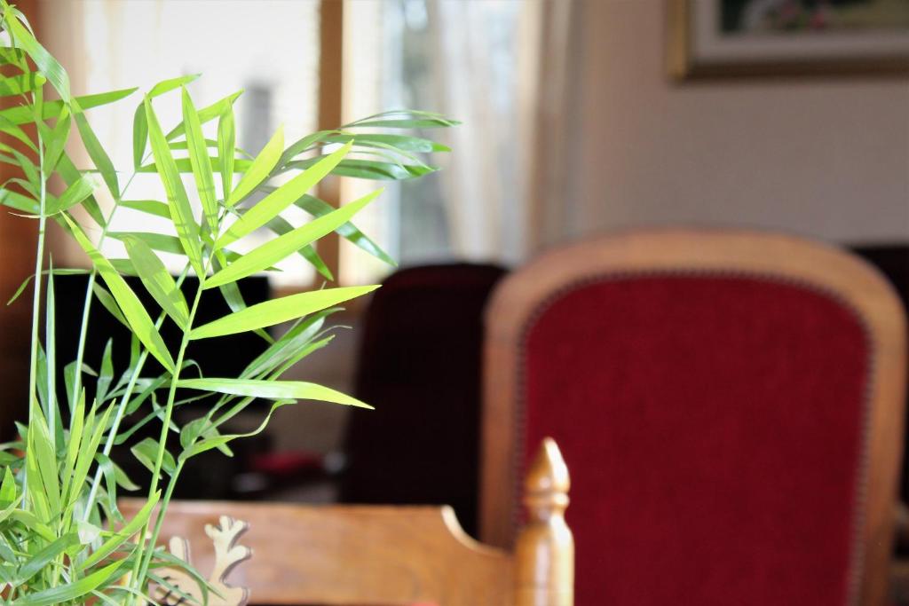 Posezení v ubytování B&B La Gautraie