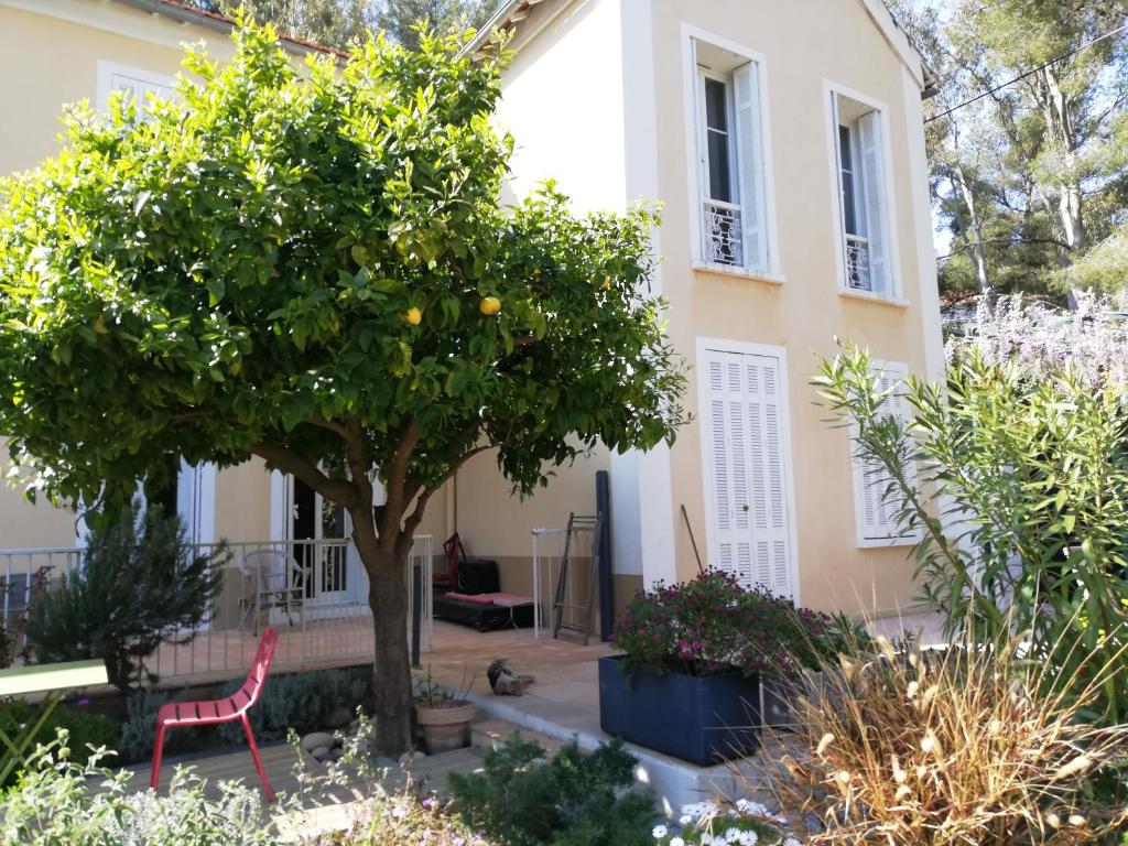 an orange tree in front of a house at Villa les Lys 2 in La Seyne-sur-Mer