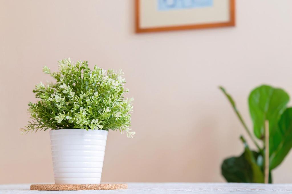 Sibelius Apartments Prague - Art Nouveau Residence 1902 - 18