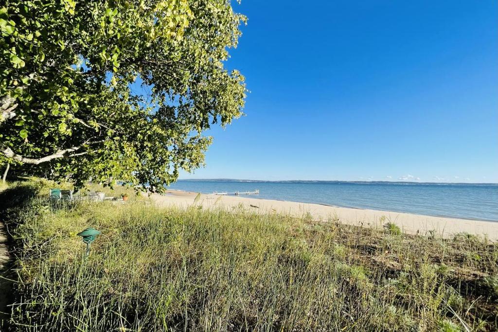 a sandy beach with a tree and the ocean at Beach Retreat in Harbor Springs