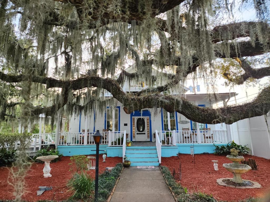 a building with a tree with hanging moss at Tybee Island Inn Bed & Breakfast in Tybee Island