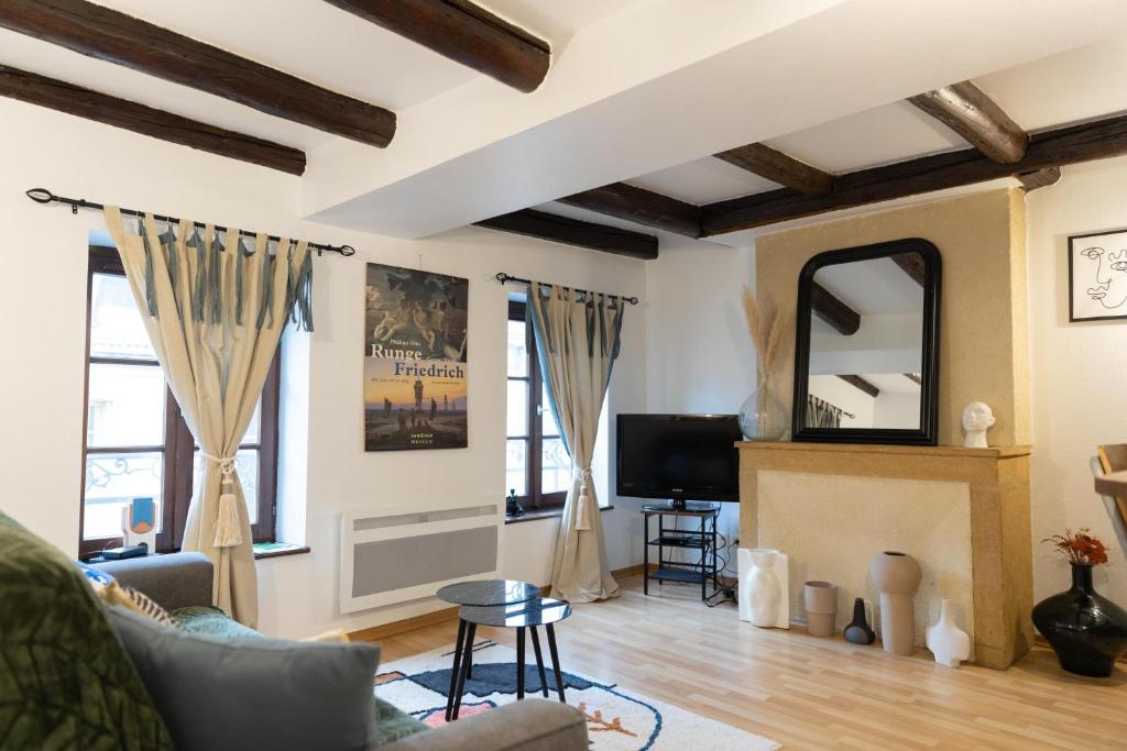 a living room with a couch and a fireplace at Le Château Taison au coeur du centre ville in Metz