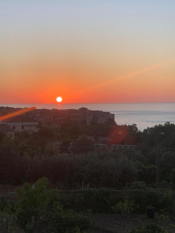 Aurantia - Mediterranean Tale - 5