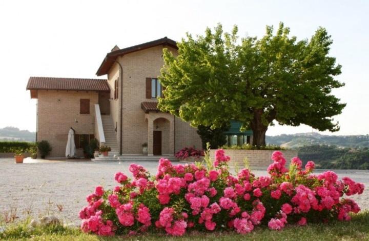 een huis met roze bloemen voor een huis bij Cantina Le Canà in Carassai