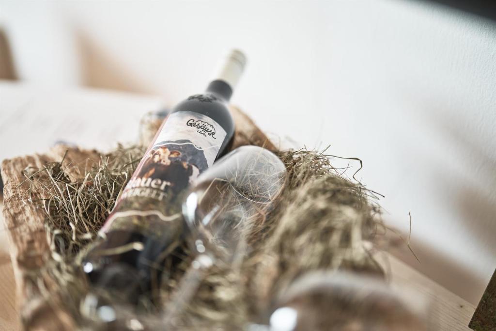 Fotografie z fotogalerie ubytování Xeis NeSt v destinaci Admont
