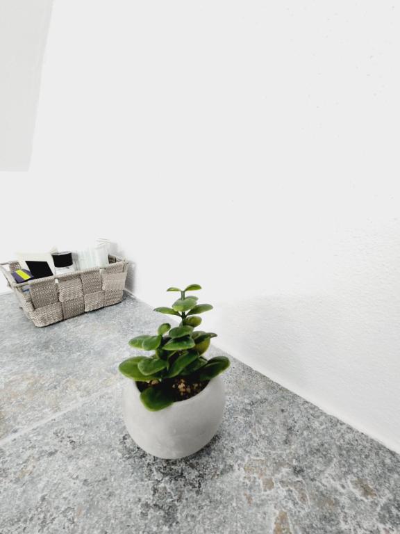 Fotografie z fotogalerie ubytování Armina's Residence v destinaci Uisenteş