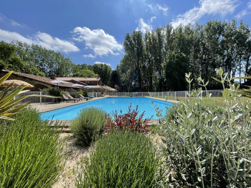 una piscina en un jardín con plantas en Echo d'Eau Host & Coach, en La Jaudonnière