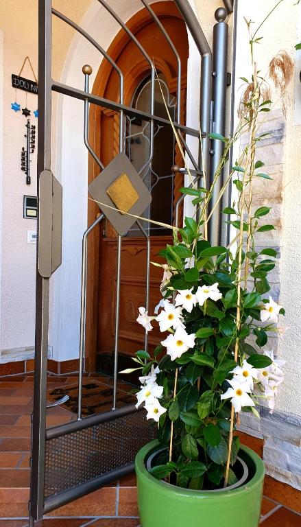 Vonkajšia záhrada v ubytovaní Appartements Dollnig