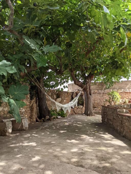 Vonkajšia záhrada v ubytovaní Casa rural frente al mar La Toscana