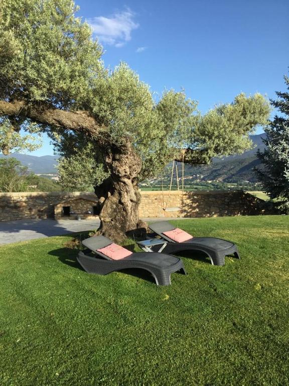 Zahrada ubytování Ca l’Andreu Suites