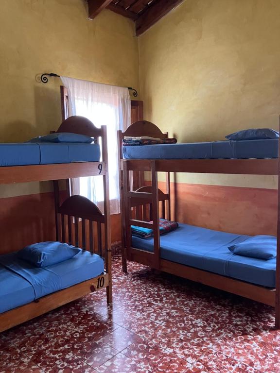 Voodi või voodid majutusasutuse Hostel Iguana Azul toas
