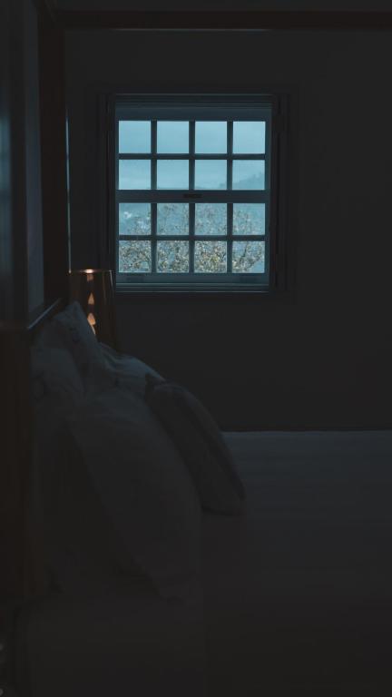 Quinta de Travassinhos- Douro Valley & Spa - 12