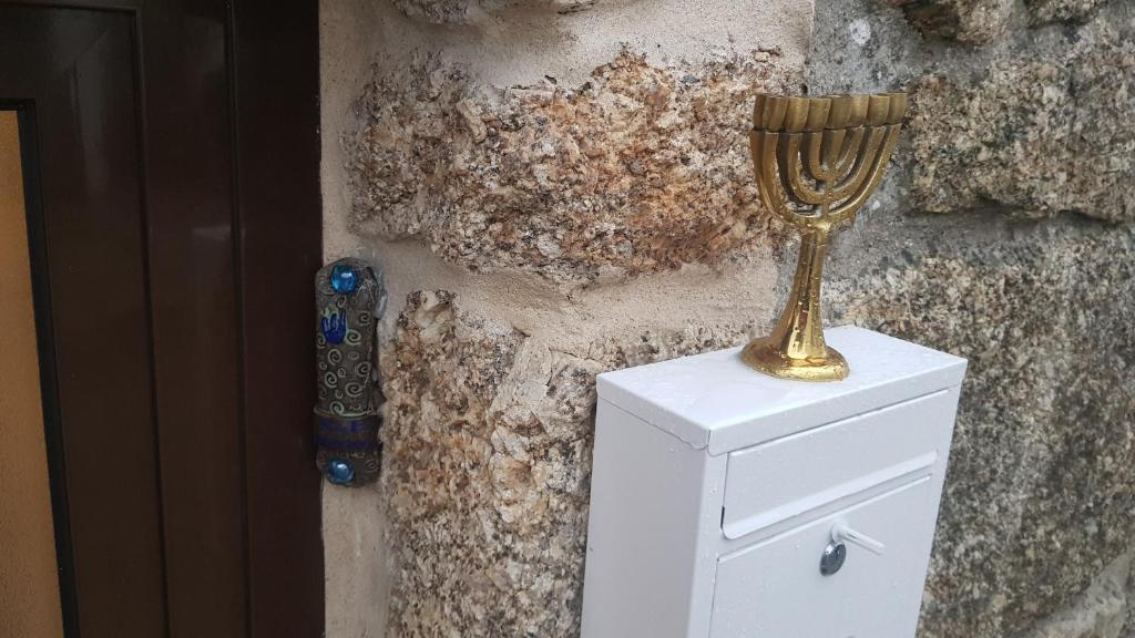 Isabel de Gouveia - 4