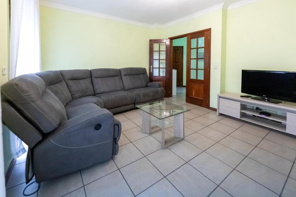 a living room with a couch and a tv at Aveiro Cozy Apartment in Eixo