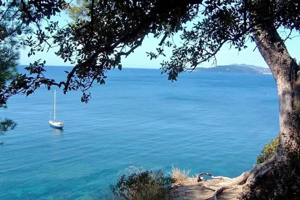 a sail boat in the water next to a tree at Les Jardins de Provence • Beau Rivage • Proche mer in Carqueiranne