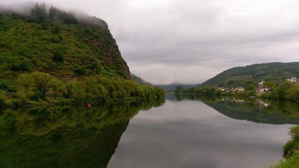 vistas a un río con árboles en el lateral en Haus Rubi, en Cochem