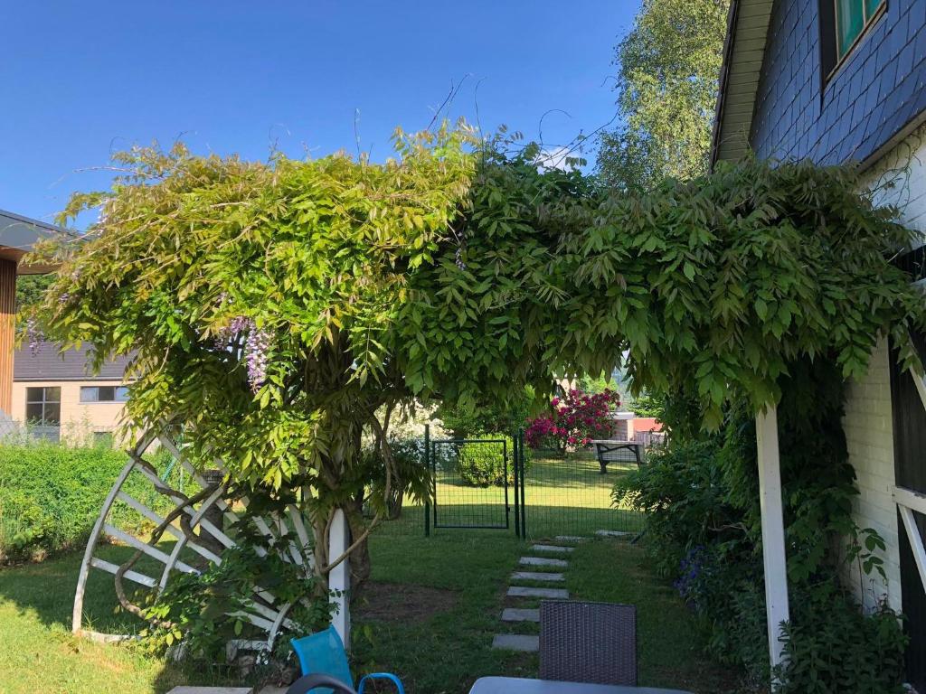 a garden with a tree and a swing at bungalow des ardennes in Stavelot