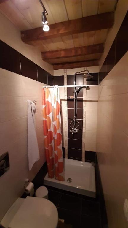 A bathroom at Napoleon's family country house