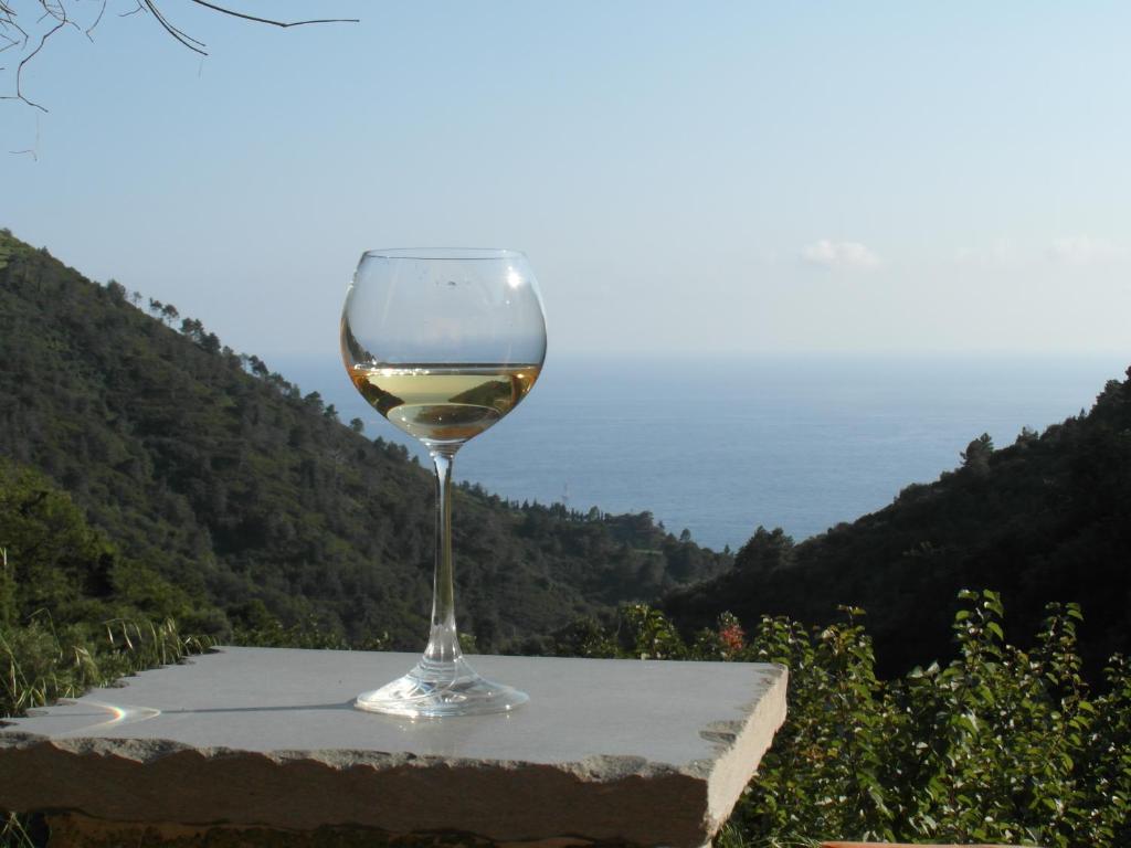 ein Glas Weißwein auf einem Felsvorsprung in der Unterkunft Agriturismo Costa di Campo in Vernazza