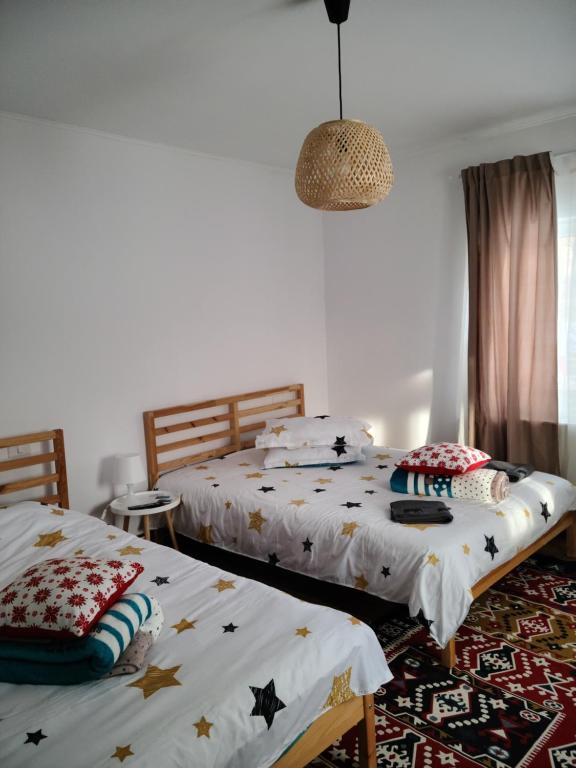 two beds sitting next to each other in a room at Pridvorul lui Viorel in Proviţa de Sus