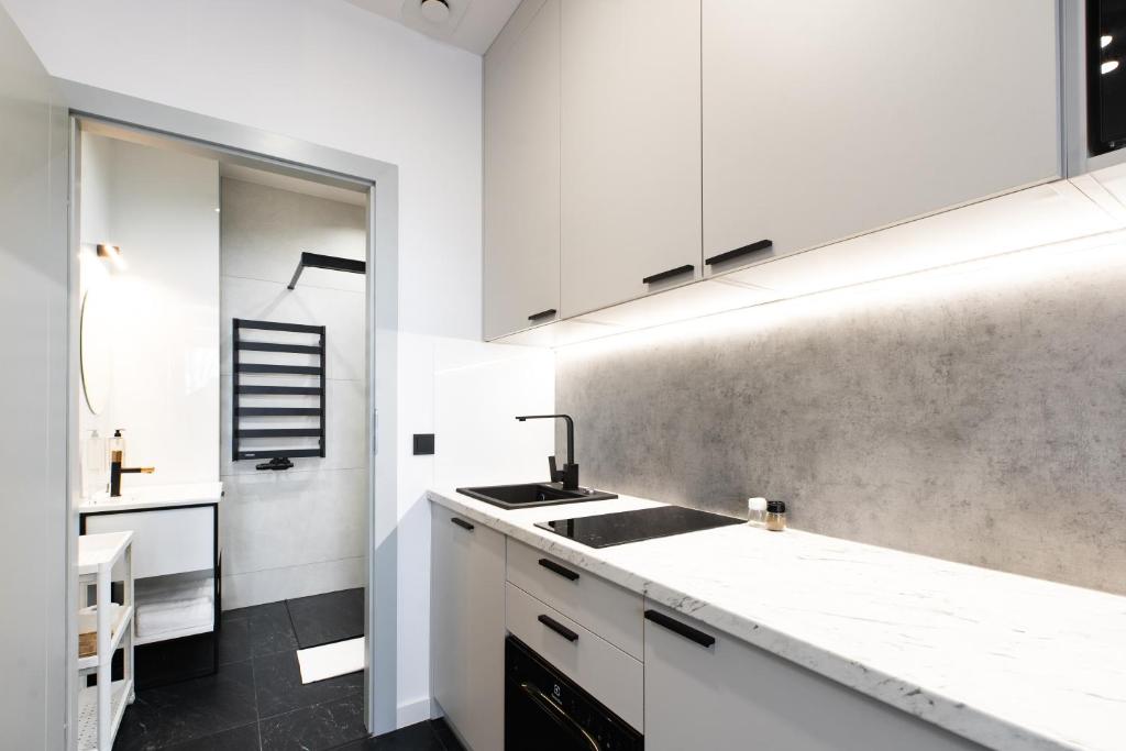 Kuchyň nebo kuchyňský kout v ubytování K20 Apartamenty Łódź - Dostęp na Kod