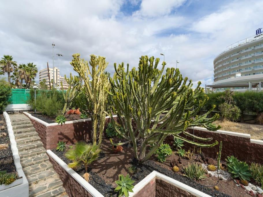 Vonkajšia záhrada v ubytovaní Marlenghi Apartments 125