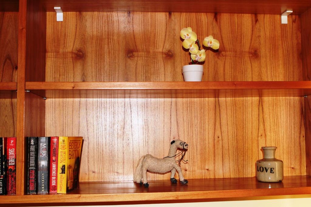 Knihovna v apartmánu