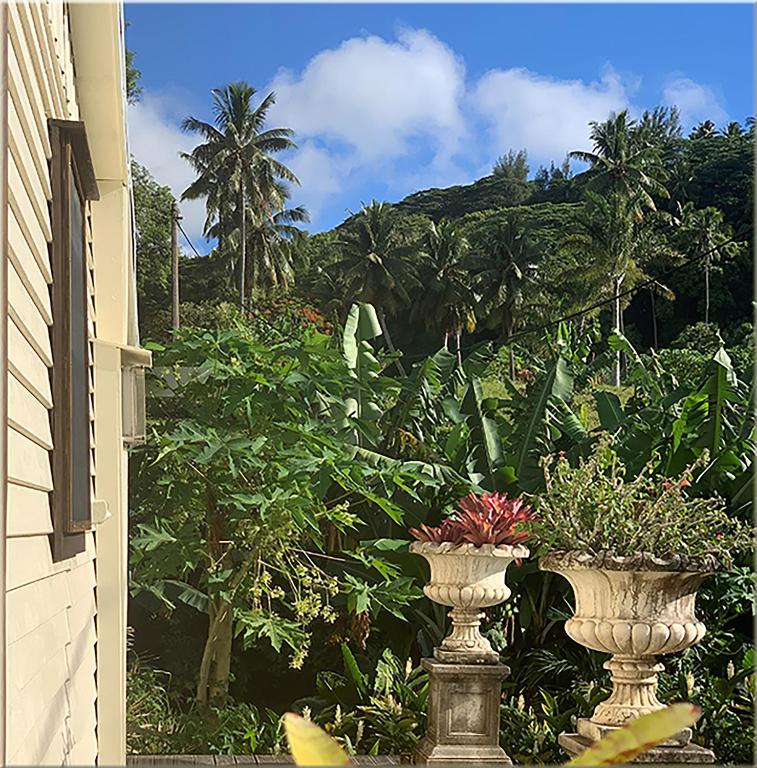 Bella Casa photo