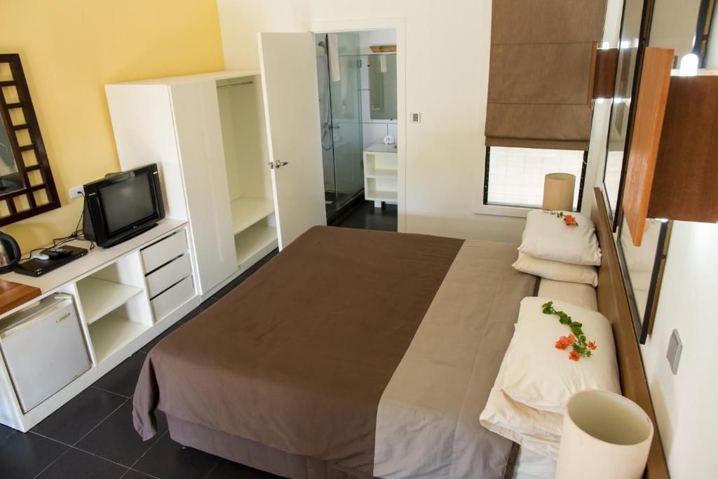 TV a/nebo společenská místnost v ubytování Hotel Esplanada