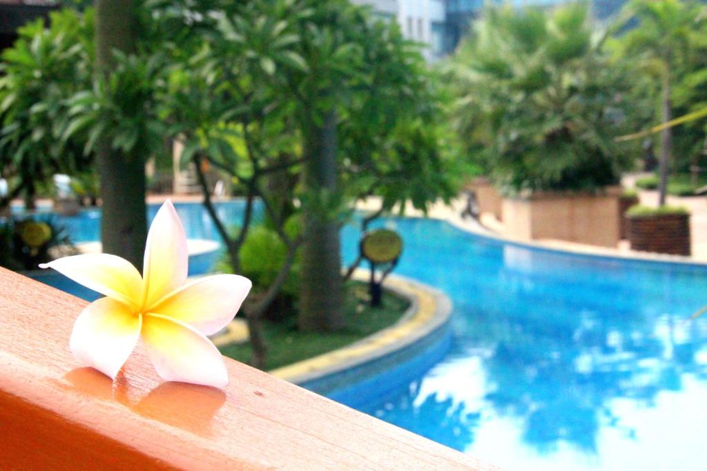 Bazén v ubytování FLIPORT Hotel Xiamen Software Park nebo v jeho okolí