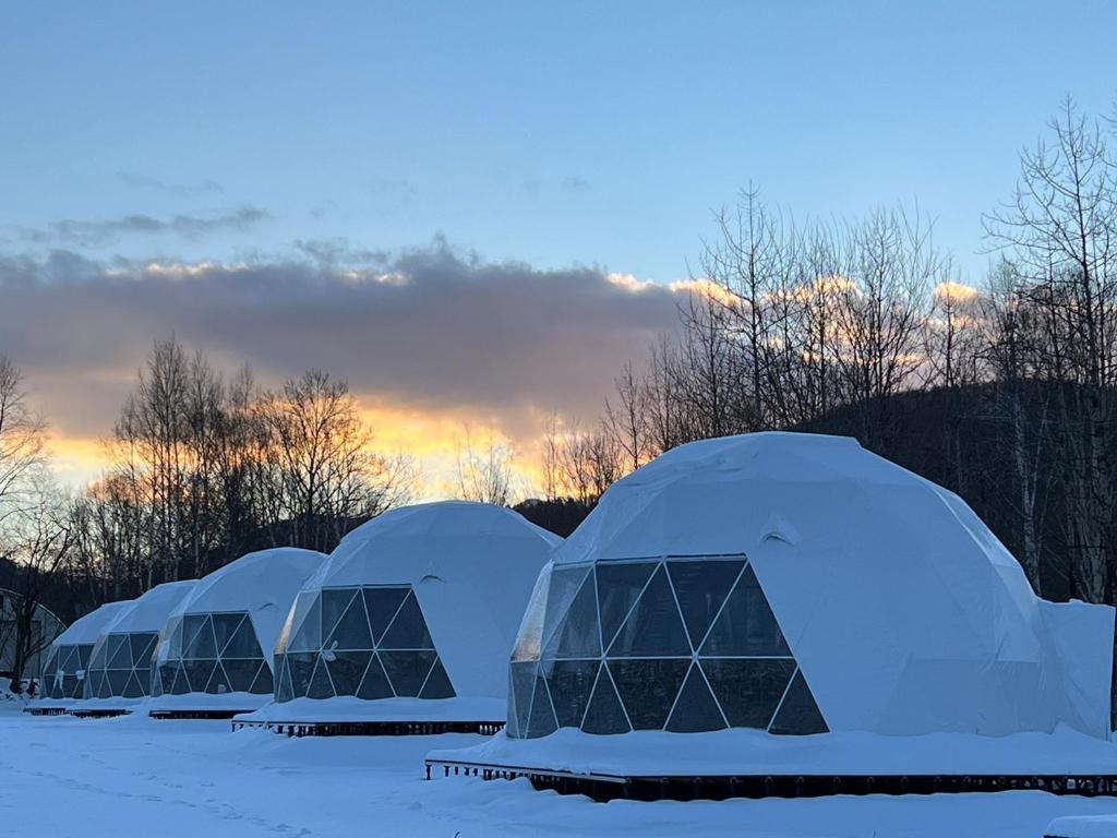 una fila de cúpulas cubiertas de nieve en un campo en GRAMPING STAY TOMAMU, en Tomamu
