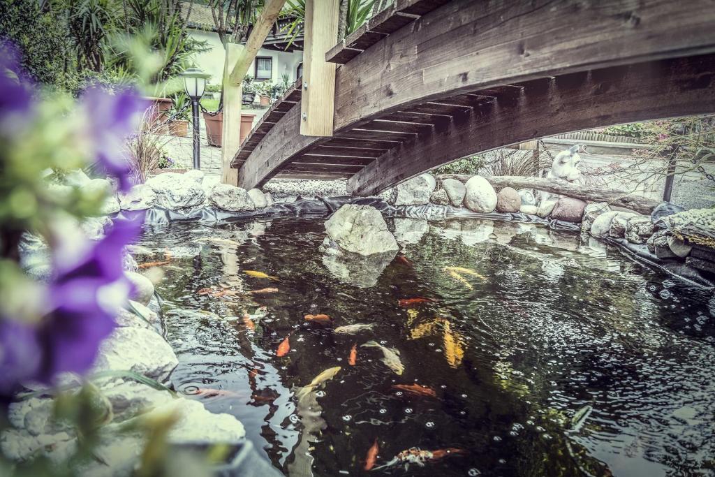 Fotografie z fotogalerie ubytování Gasthof Pension Alpenblick v destinaci Radfeld