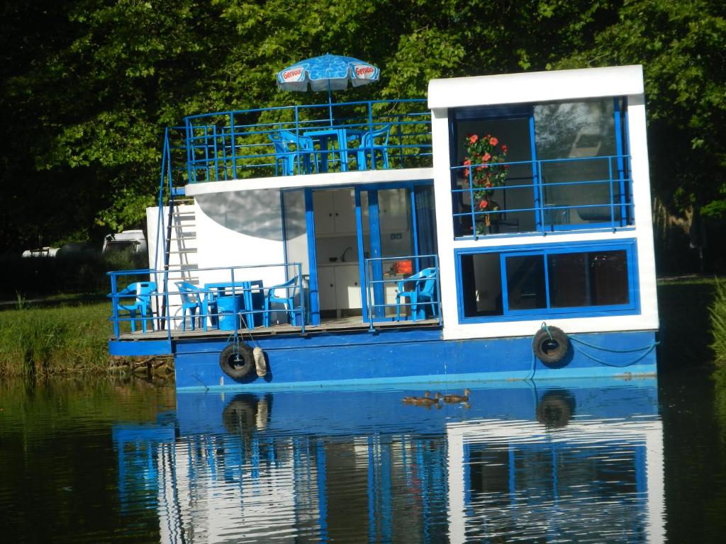 ein blaues und weißes Boot im Wasser in der Unterkunft Maison flottante sur la seille in Cuisery