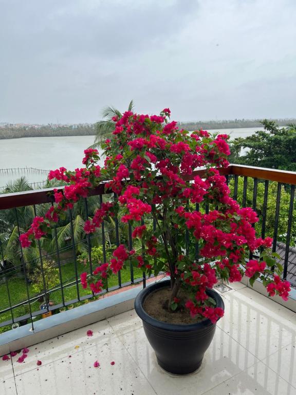 Zahrada ubytování Phuoc Dat Riverside Homestay Hoi An