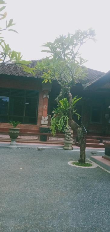 Zahrada ubytování Liang House and Hostel