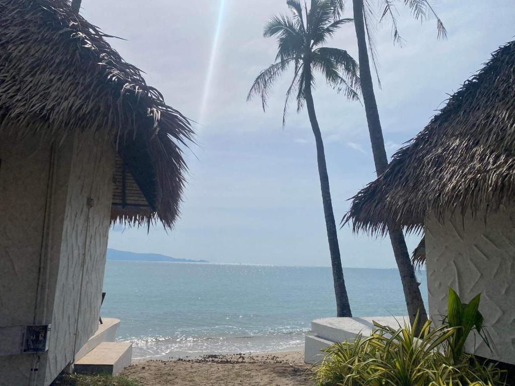 Wild Wood x Hansa Beach Fitness Resort - Bungaló Con Vistas Al Mar