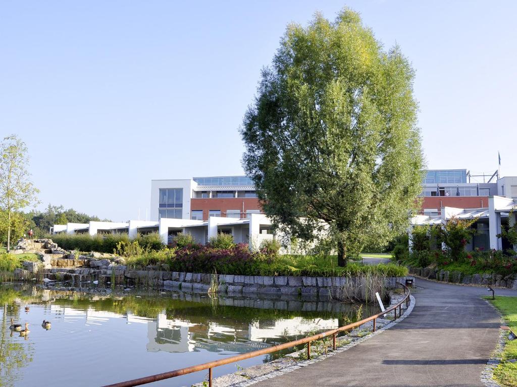 un parc avec des canards dans l'eau en face d'un bâtiment dans l'établissement Seminarhotel in der Manfred-Sauer-Stiftung, à Lobbach