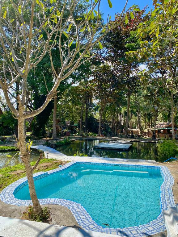 a swimming pool in a yard with a tree at Shaya Resort in Pai