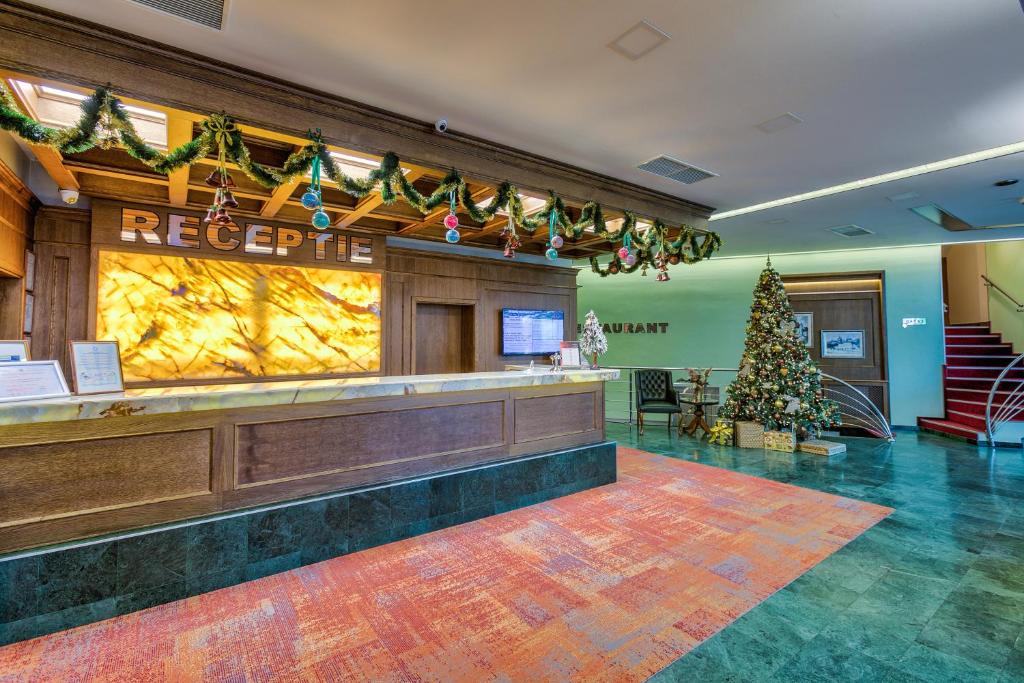 Vstupní hala nebo recepce v ubytování Hotel Ambient
