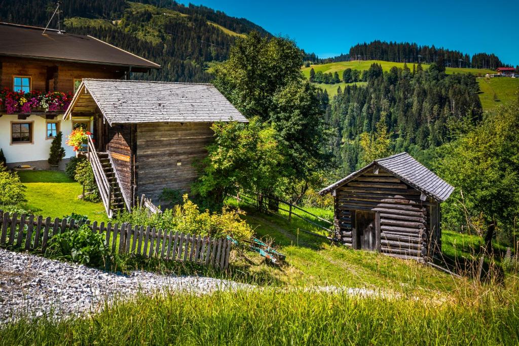 Příroda nedaleko apartmánu