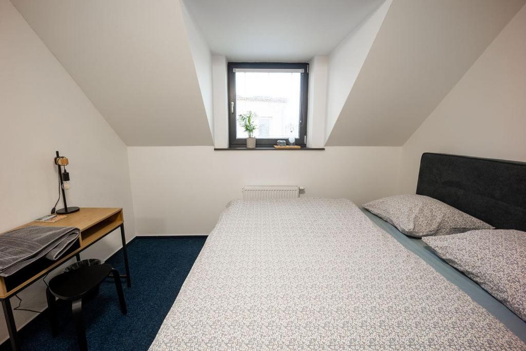 Penzion 7 pokojů - 6