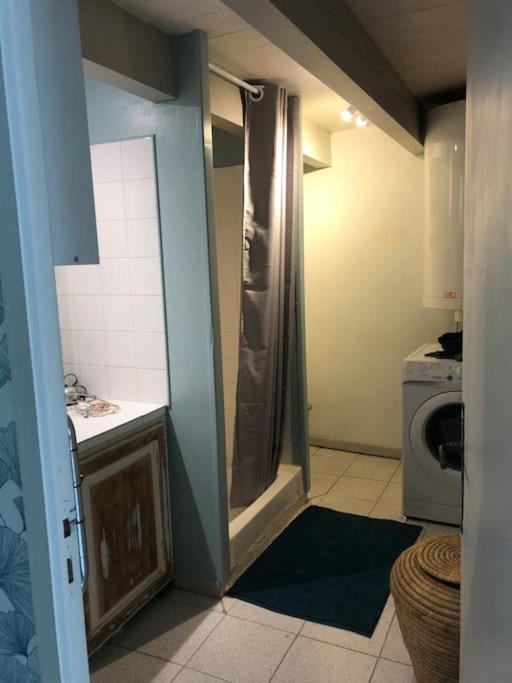 Il comprend une petite cuisine avec une douche et un lave-linge. dans l&#39;établissement Arles : maison provençale aux arènes., à Arles