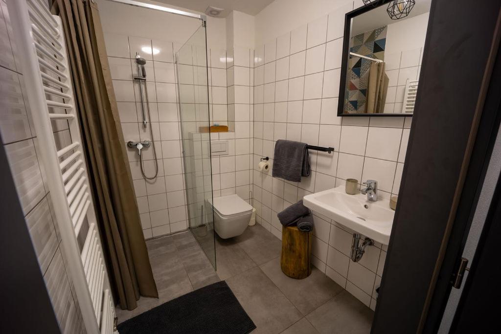 Penzion 7 pokojů - 9