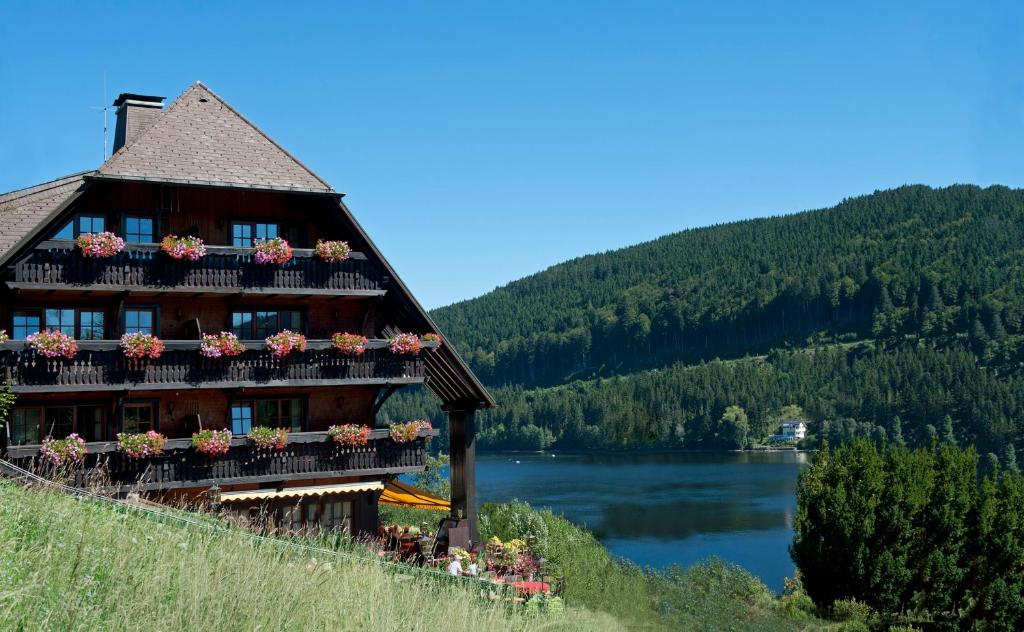 ein Gebäude auf einem Hügel neben einem See in der Unterkunft Alemannenhof - Boutique Hotel am Titisee in Titisee-Neustadt