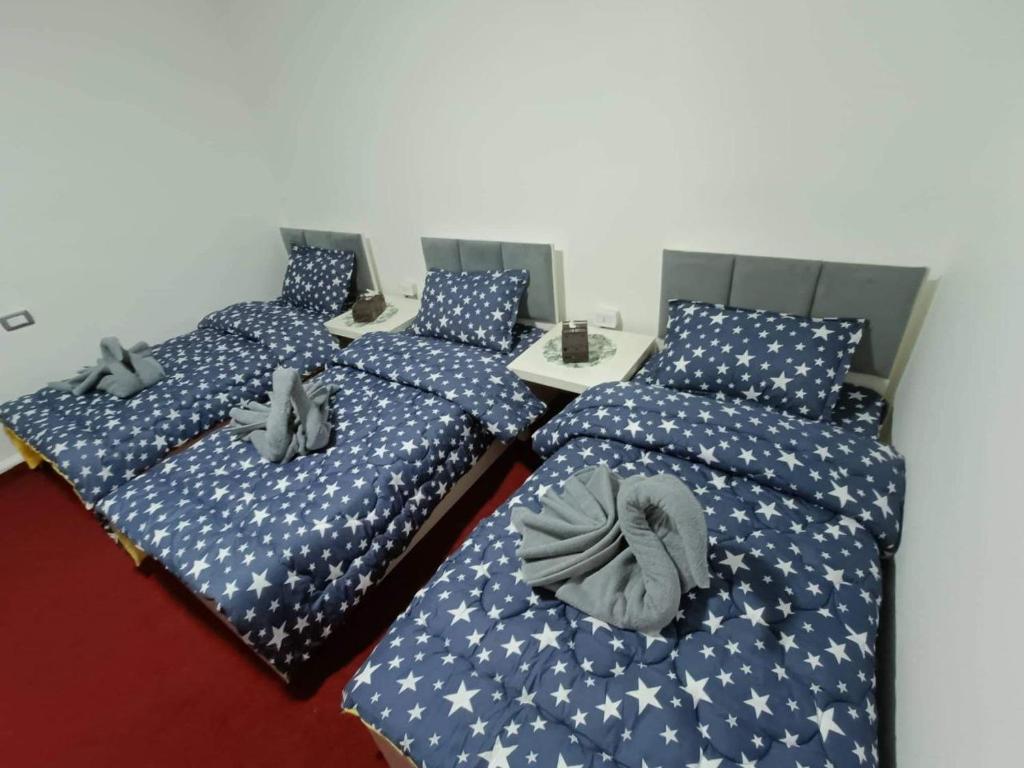 Petra Casablanca Hotel - غرفة الاجتماعات