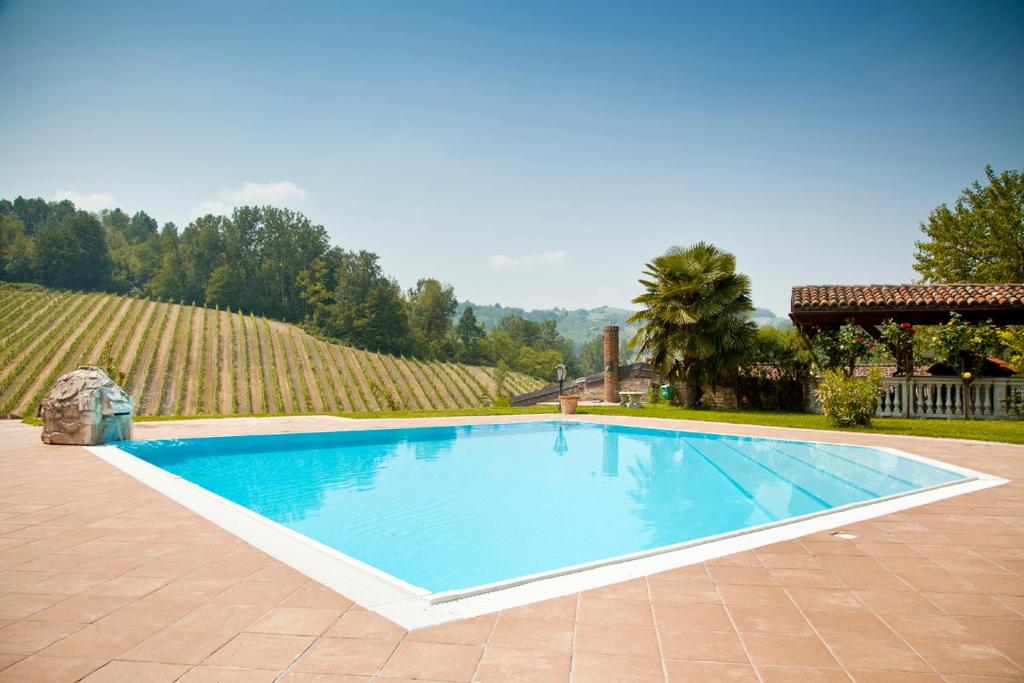 Castel BoglioneにあるTenuta Cà dei Mandorliのブドウ畑の前の青い大型スイミングプール