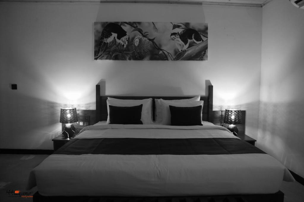 Naturaliza Sigiriya - 9